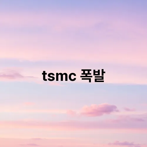 tsmc 폭발