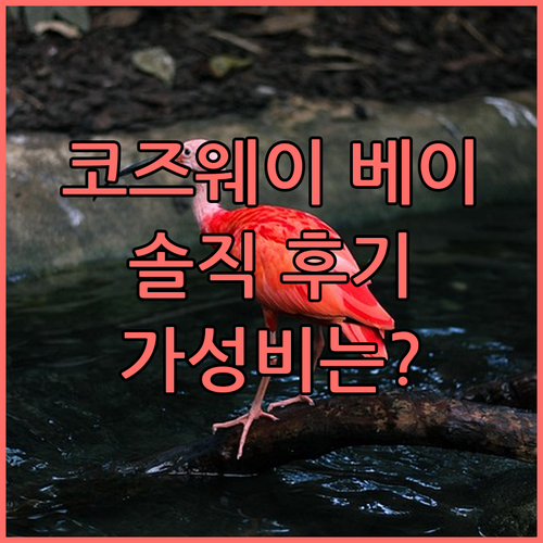 코즈웨이 베이 엠파이어 호텔 홍콩..