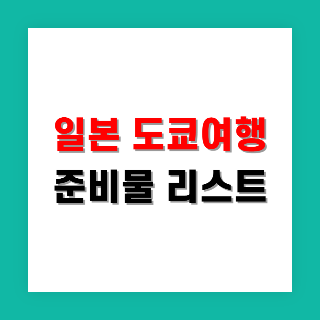 연차 내고 도쿄 여행 갈 때 챙겨야 할 준비물 체크리스트