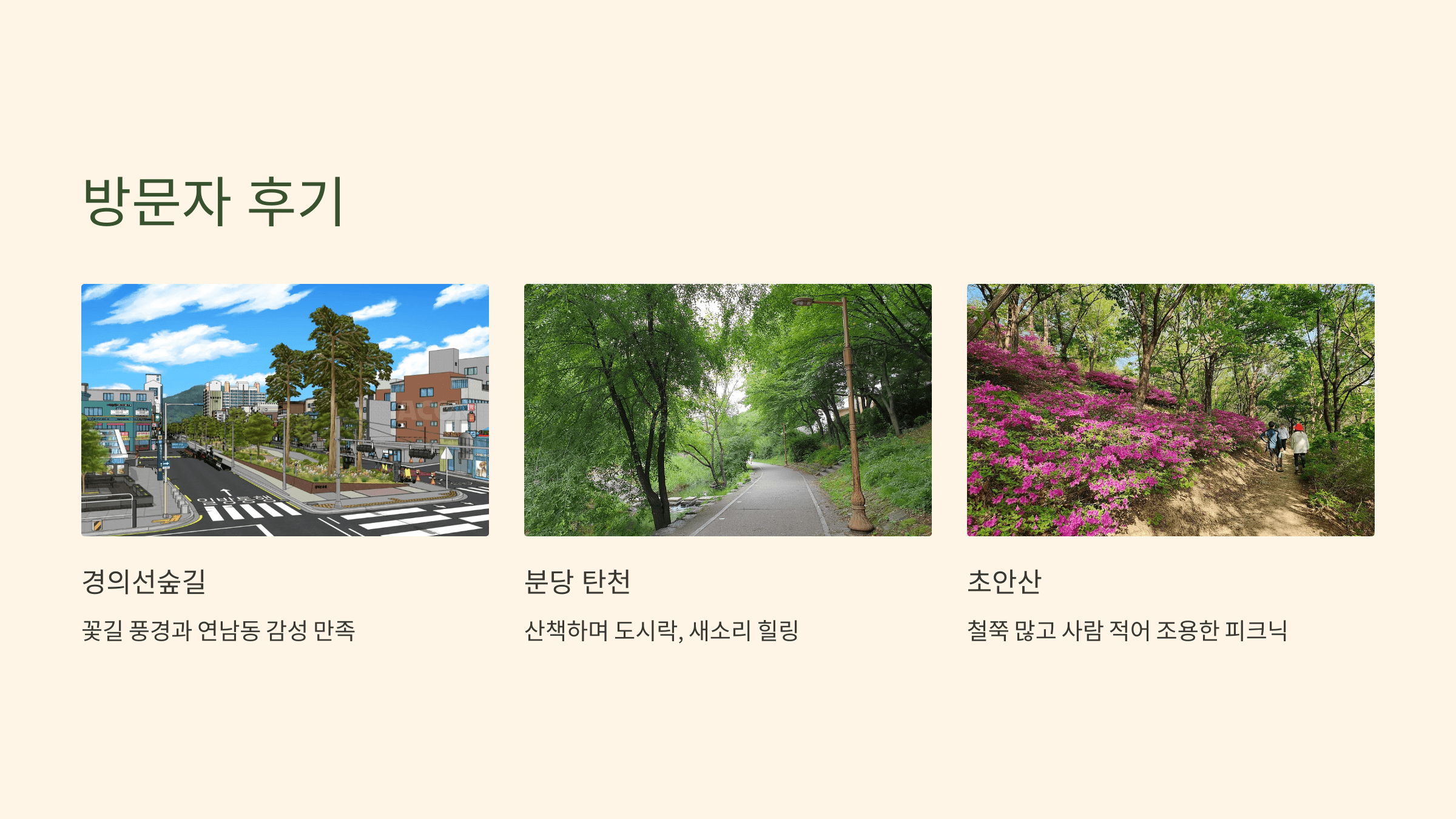 방문자 후기 이미지