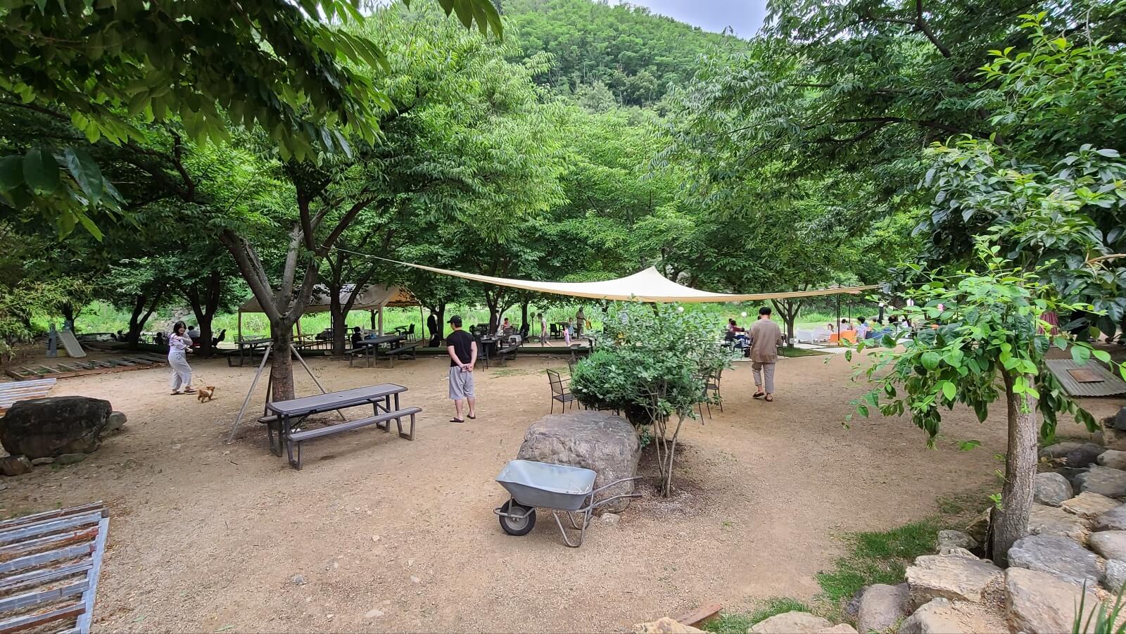 자연