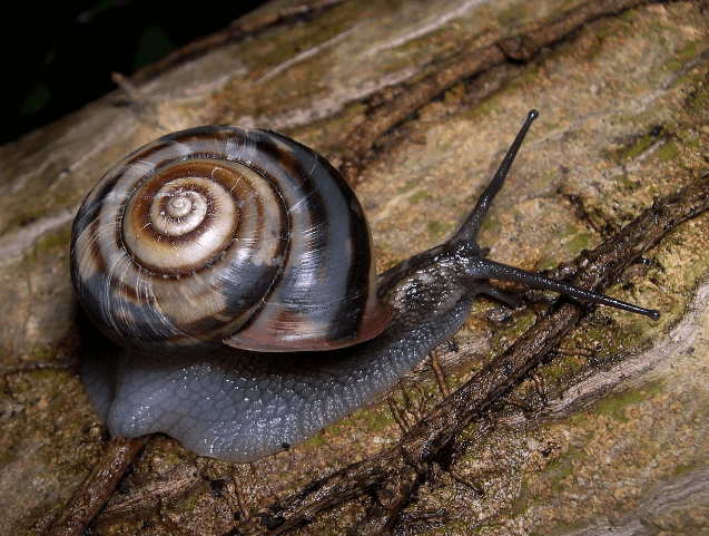 걷기의 힘: 한국식 슬로우 라이프를 완성하는 방법