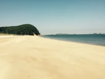 대천 호도 배편 배시간표 예매 요금 예약_19