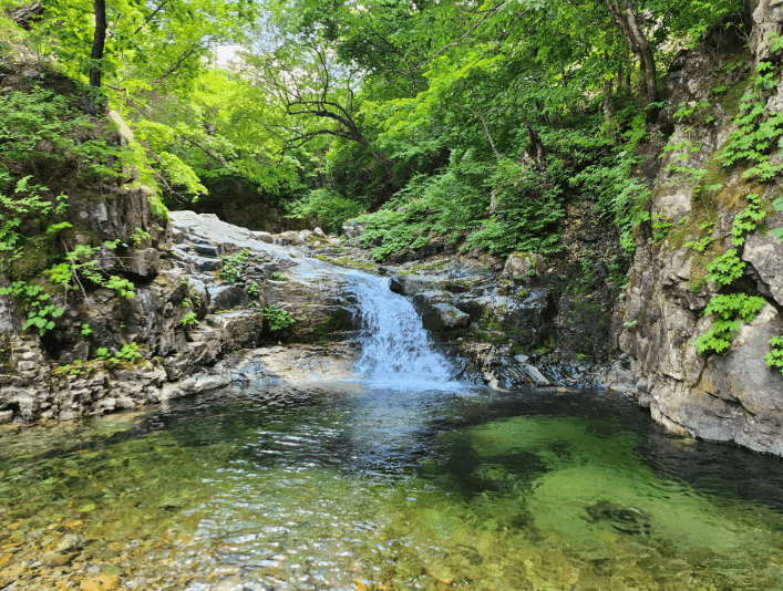 동아실계곡