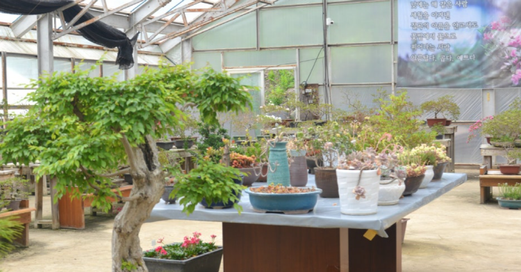 옥천 수생식물학습원