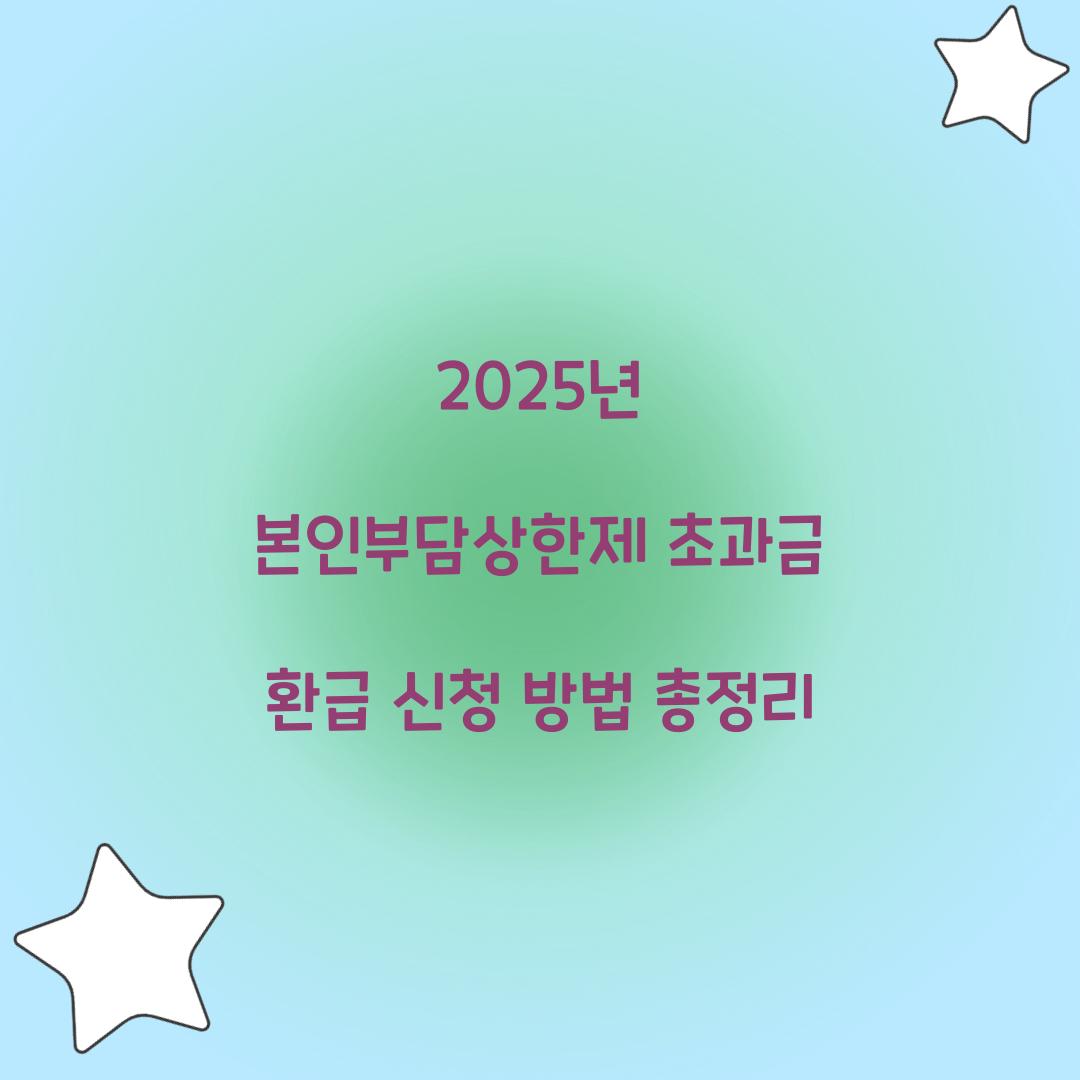 2025년 본인부담상한제 초과금 환급