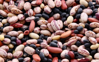 미오이노시톨 식품