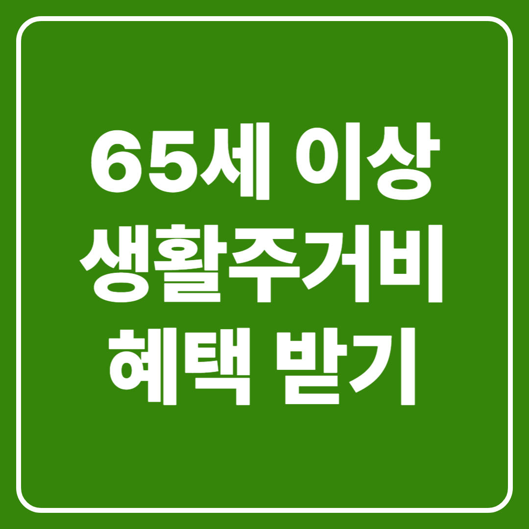 65세 이상 생활주거비 혜택