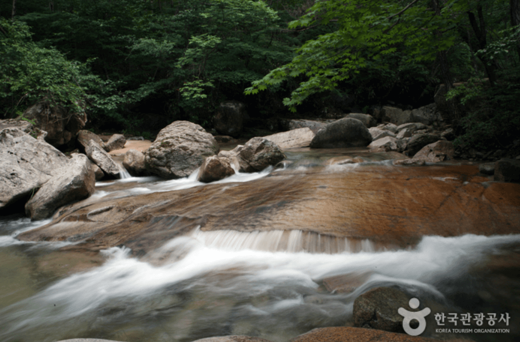 문경시 문경용추계곡