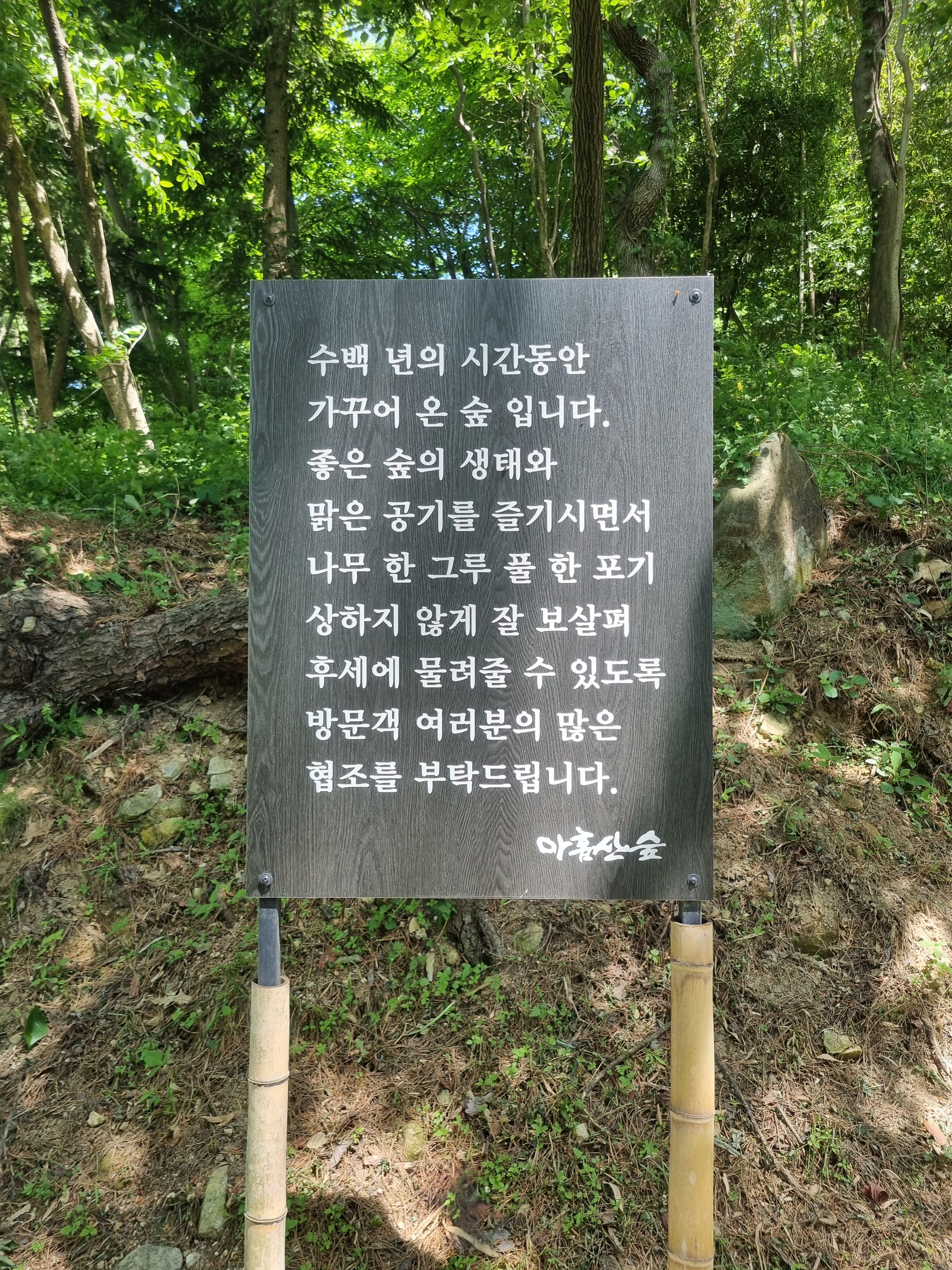 아홉산 숲