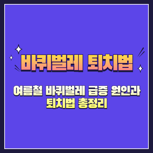 여름철 바퀴벌레 급증 원인과 퇴치법 총정리