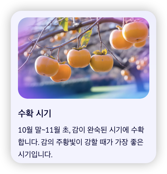 감식초-효능-수확-시기