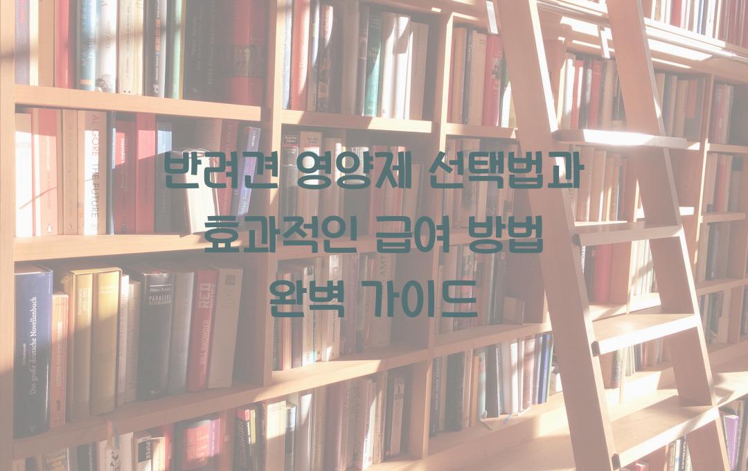 반려견 영양제 선택법과 효과적으로 먹이는 방법