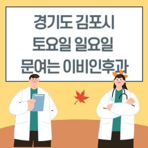 경기도 김포시 토요일 일요일 이비인후과 진료 문여는 병원 리스트