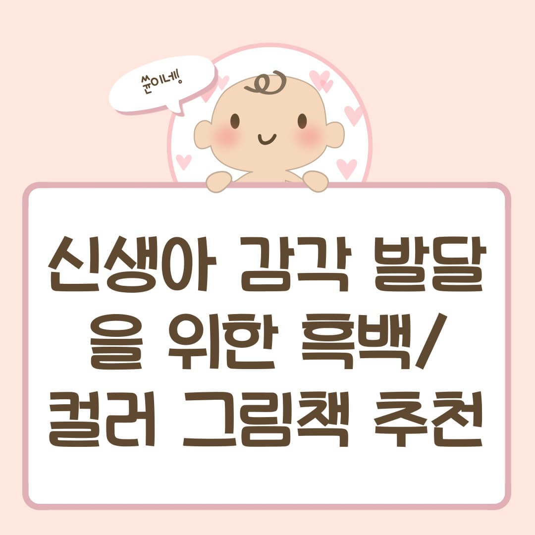 신생아 감각 발달을 위한 흑백/컬러 그림책 추천