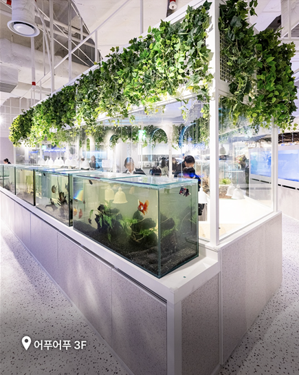 스타필드 빌리지 운정 어푸어푸