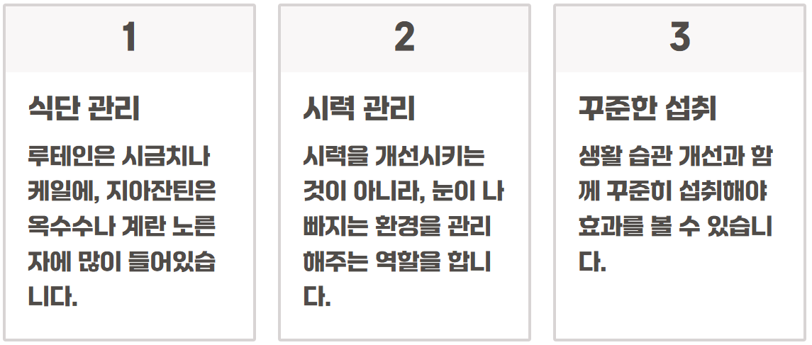 루테인 지아잔틴 효능 부작용