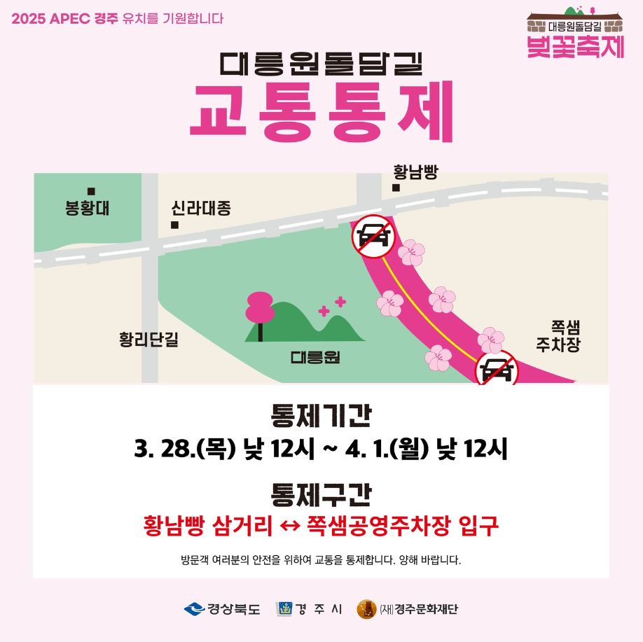 경주 벚꽃축제