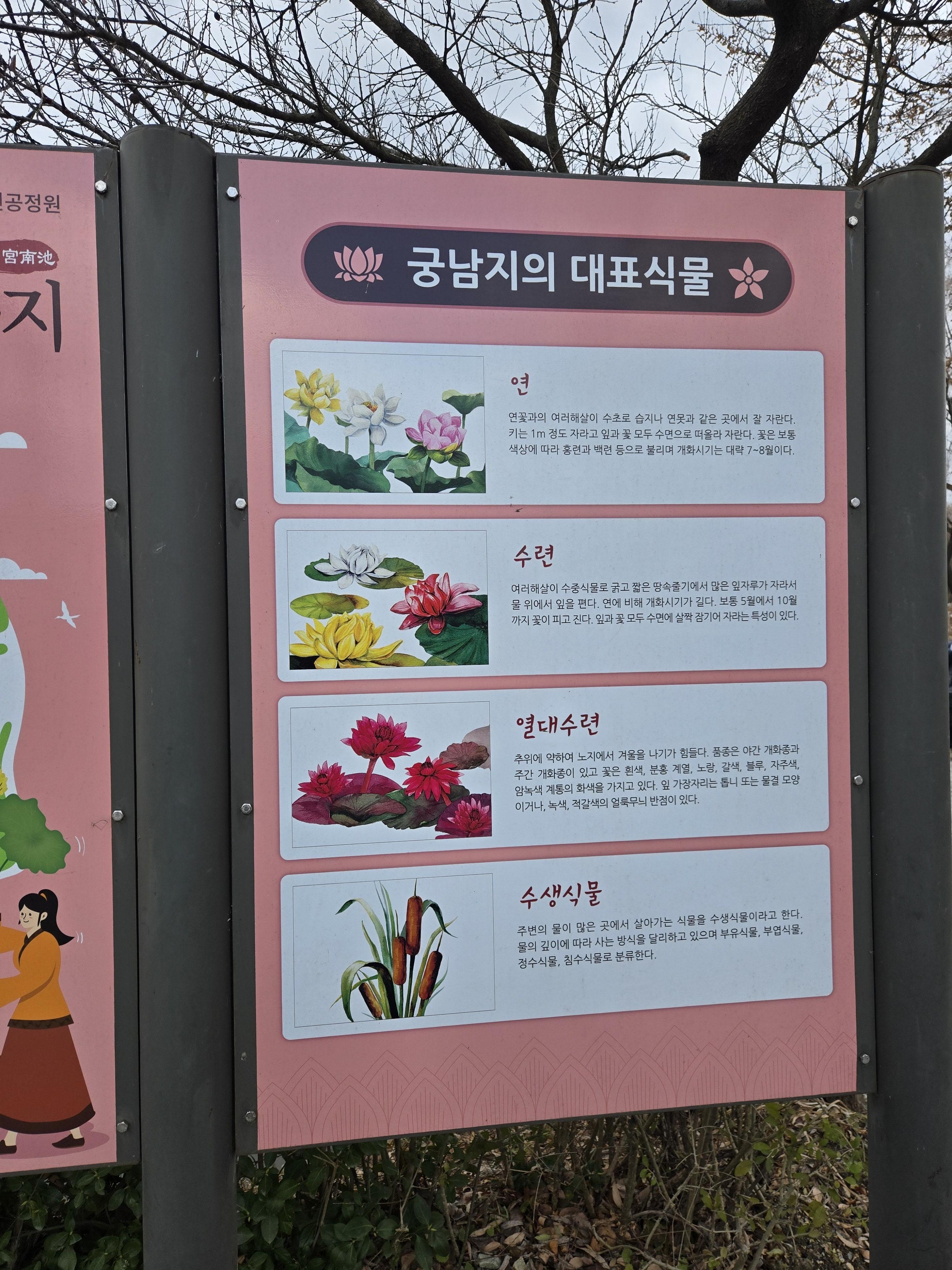 부여 궁남지