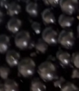 수이비-자보티카바-쥬스