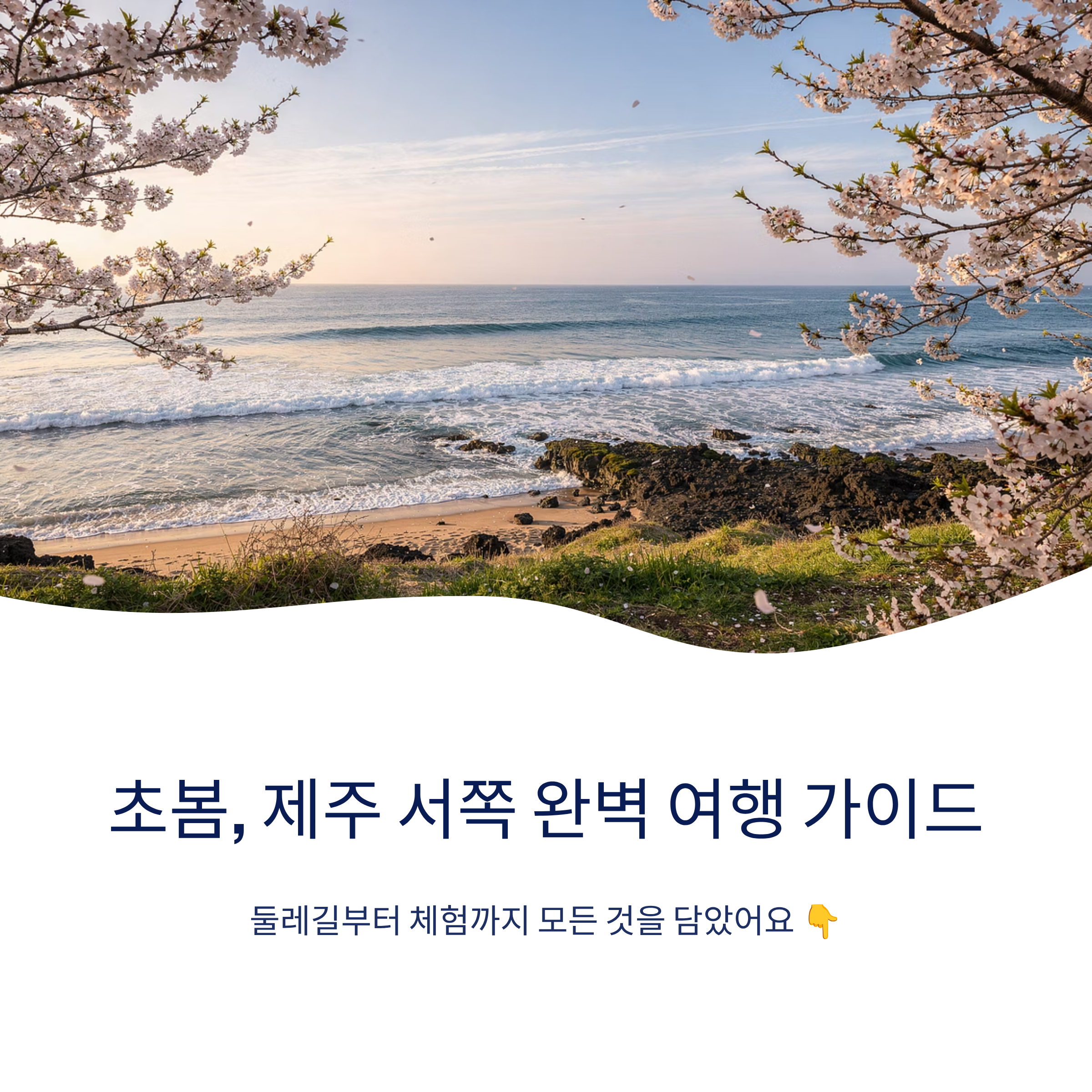 초봄, 제주 서쪽 여행 루트와 걷기 좋은 둘레길, 즐길거리까지 완벽 안내!