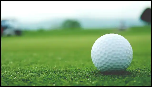 파크골프채 가격 추천 (혼마, 피닉스, 미즈노)