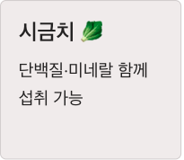 비타민A가 많은 시금치