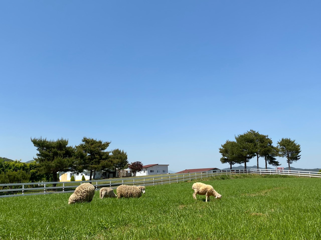 하동 해뜰 목장