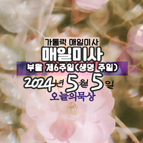 5월5일 매일미사