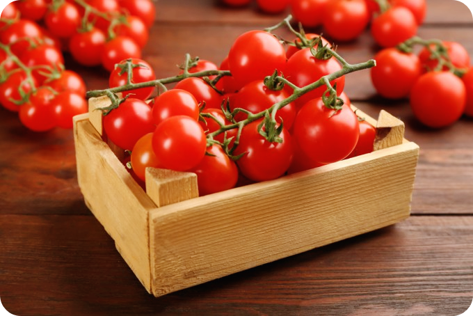 토마토-효능