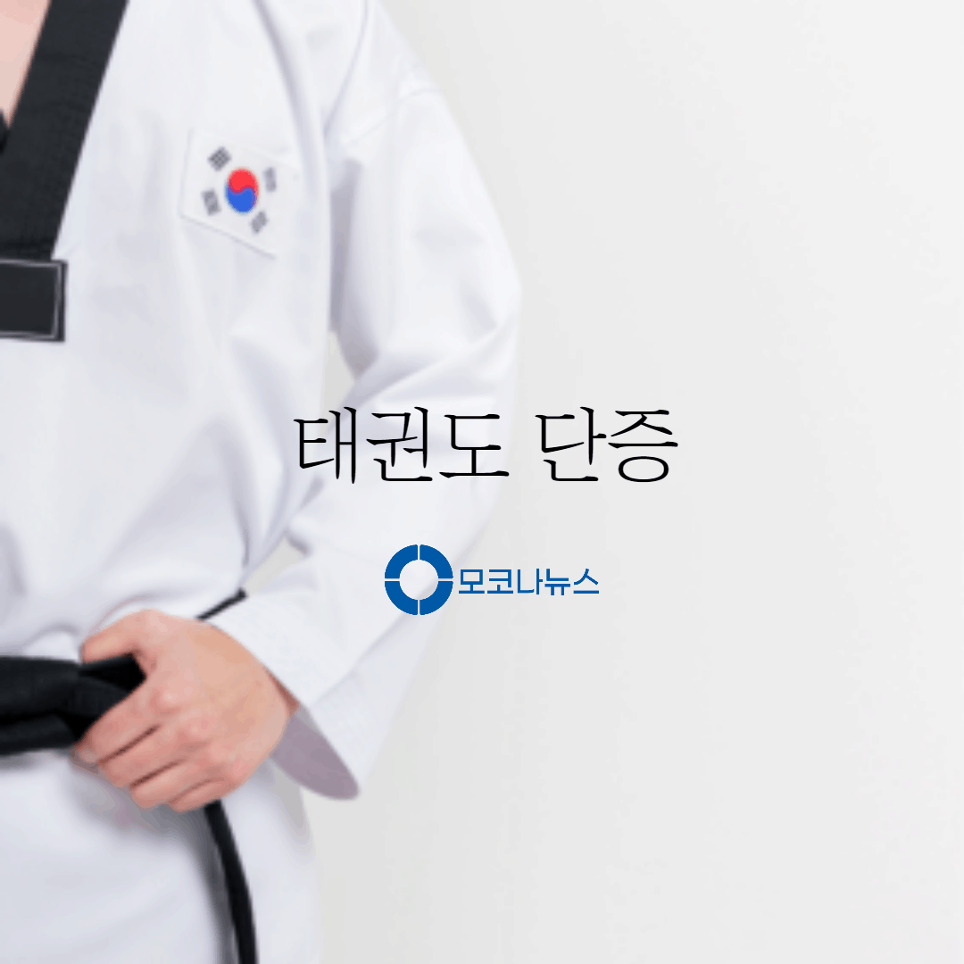 태권도-단증조회