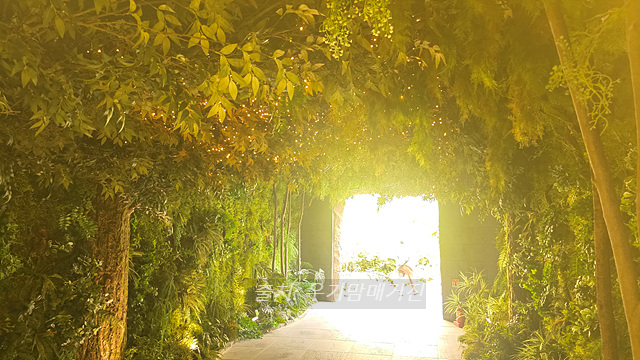 24년 순천만 국가정원 식물원 동문 순천여행