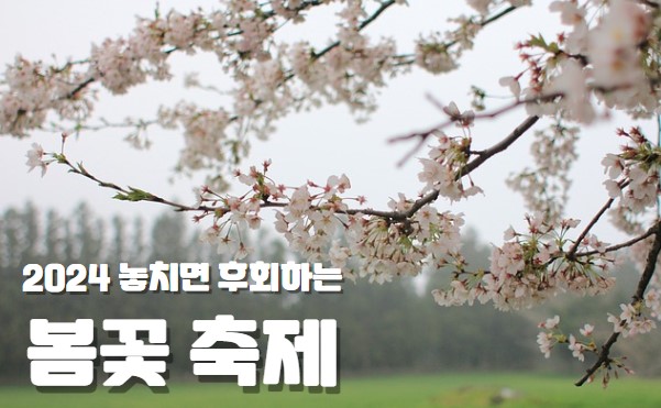 봄꽃 축제