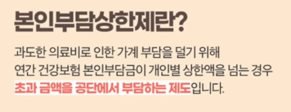 본인부담상한제