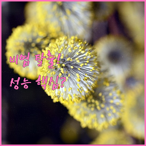 집먼지진드기와 꽃가루 차단하는 비염용..