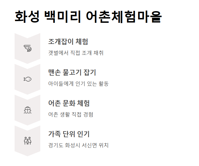 경기도 갯벌 체험지 BEST 5