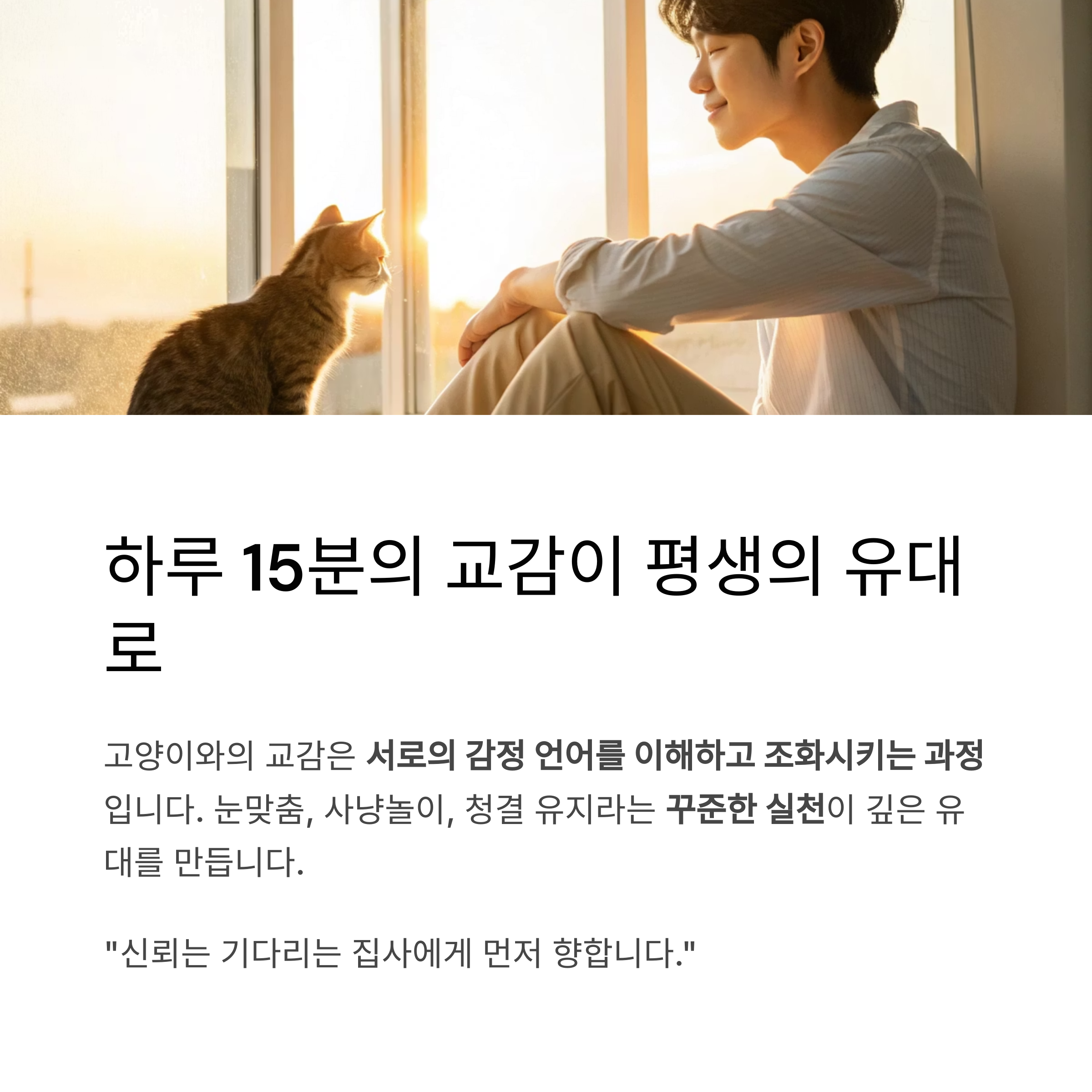 하루 15분의 교감이 평생의 유대로