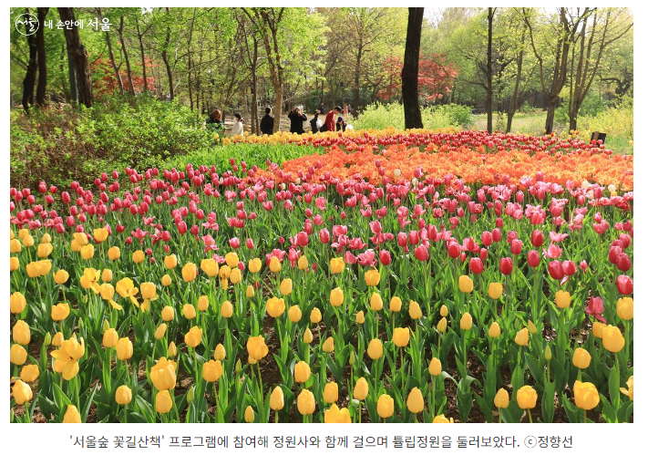 서울숲
