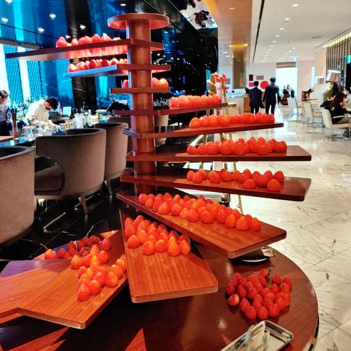 생방송투데이 용산 신용산 딸기 디저트 뷔페 맛집