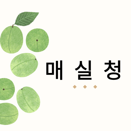 매실청 담그기