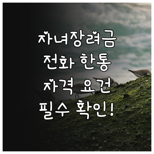 자녀장려금 전화 신청 방법과 소득 재..