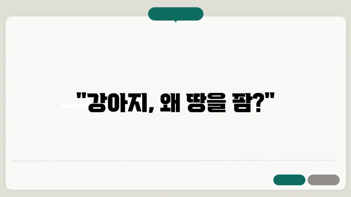 강아지 땅파는 행동 및 주저 앉는 이유 알아보기