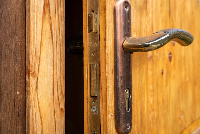 마그밀정과 마그밀에스 차이점