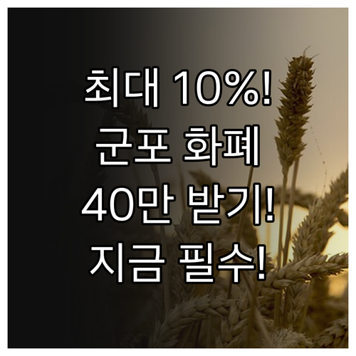 최대 10% 혜택 2025 군포 지역..