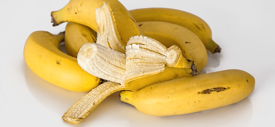 날파리가 생기는 이유가 되는 사진 - 113