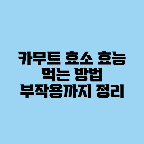 카무트 효소 효능 먹는 방법 부작용까지 정리