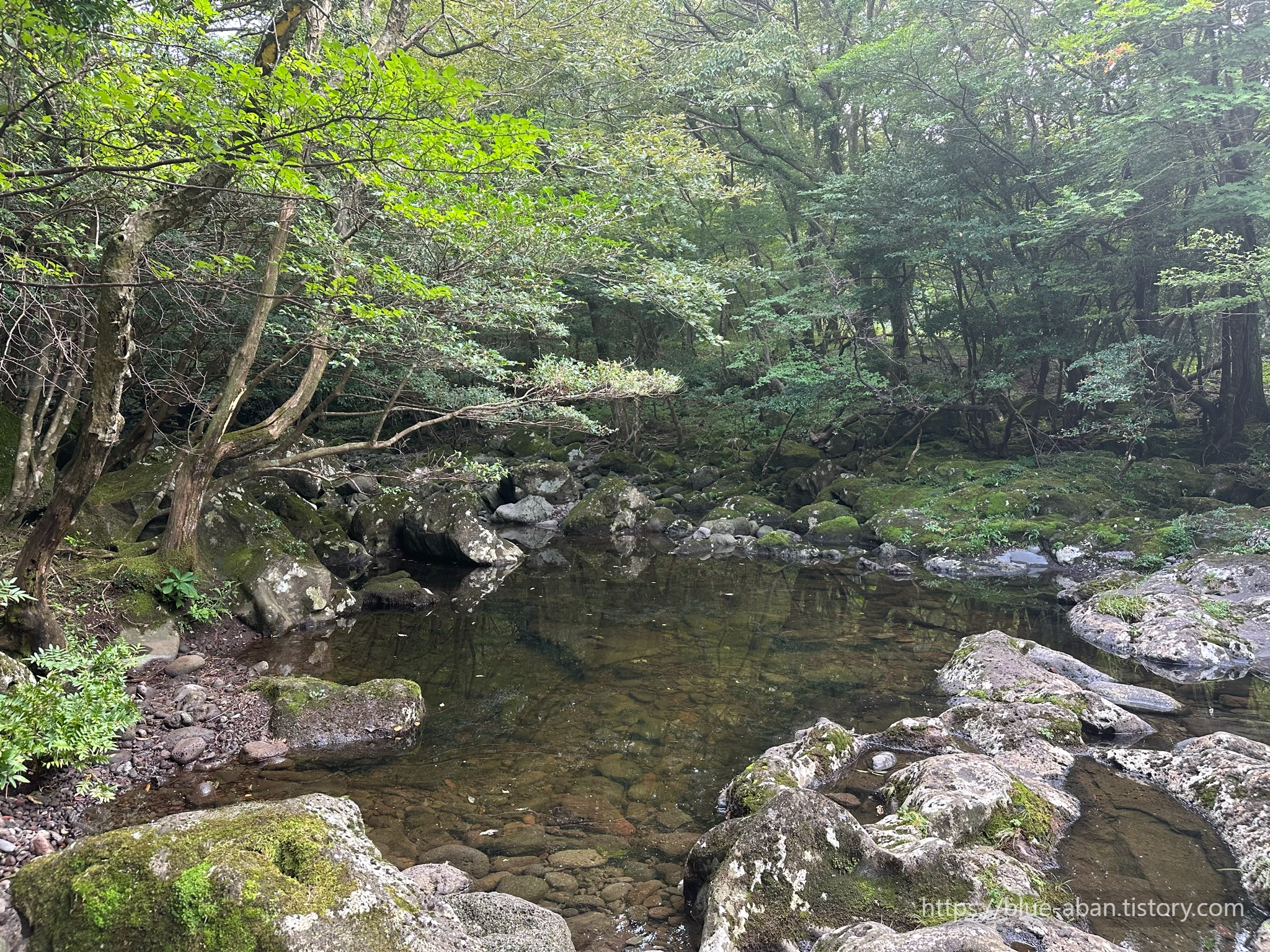 산책로