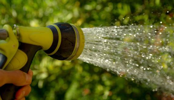 러브버그 익충&amp;#44; 퇴치방법은? 