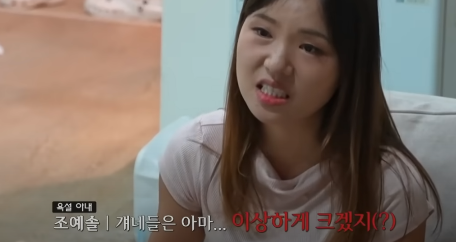 이혼숙려캠프: 새로고침 4기 욕설부부