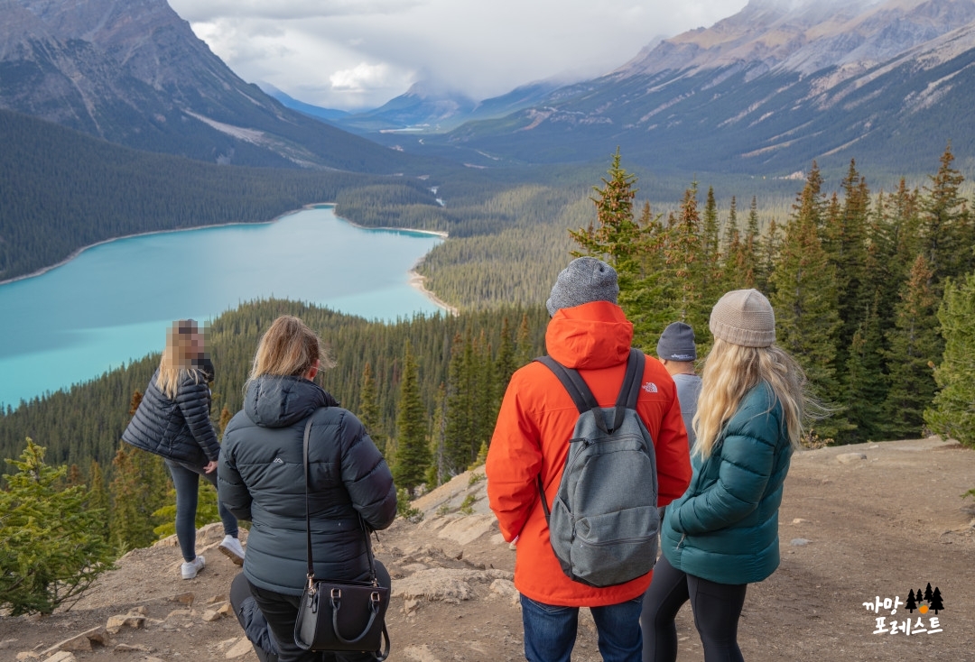 캐나다 페이토 레이크 관광
